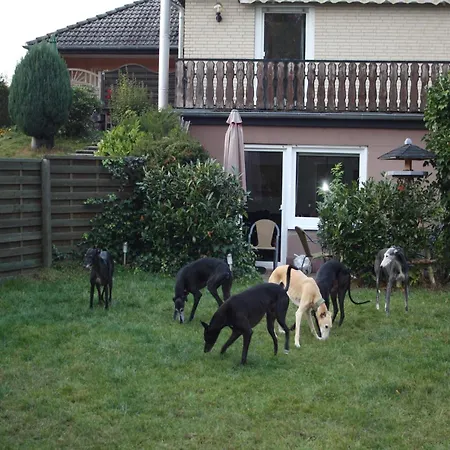 Garden-view In Centre Апартаменты