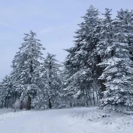 Апартаменты Garden-view In Centre Херингхаузен
