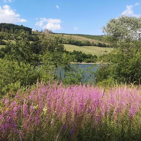 Garden-view In Centre * Херингхаузен
