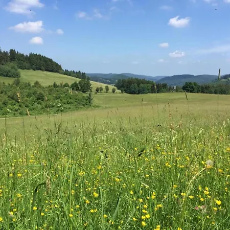 Апартаменты Garden-view In Centre Херингхаузен