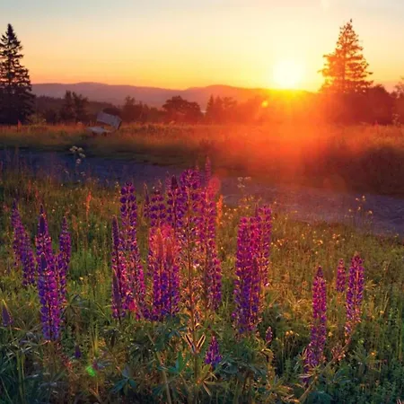 Garden-view In Centre Апартаменты Херингхаузен