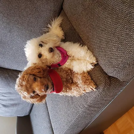 Lägenhet Garden-view In Centre Heringhausen