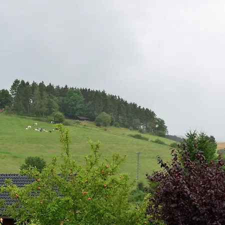 Apartment Garden-view In Centre