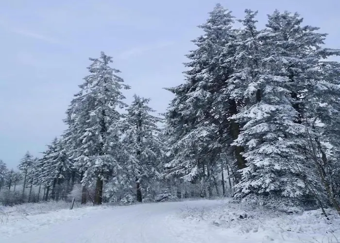 Apartment Garden-view In Centre Heringhausen
