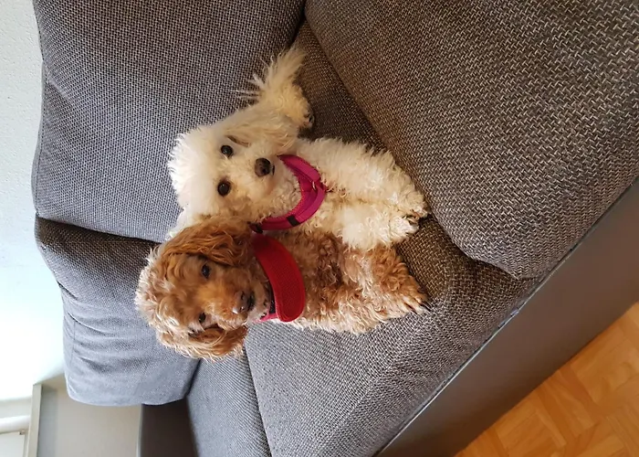 Apartment Garden-view In Centre Heringhausen